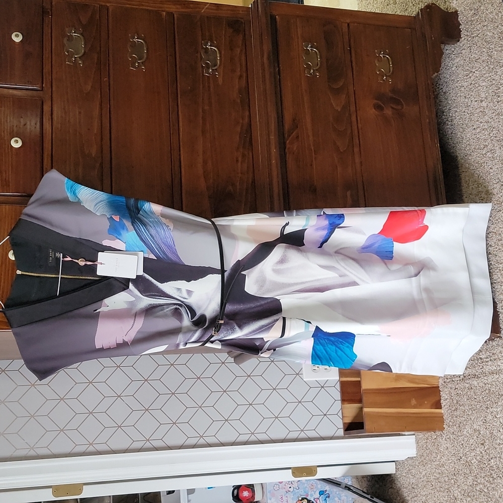 Ted Baker London water color painting dress